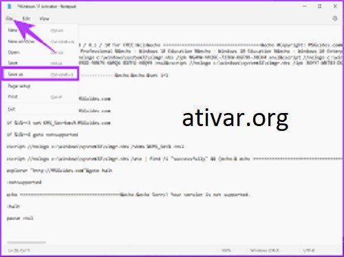 Windows 11 activator